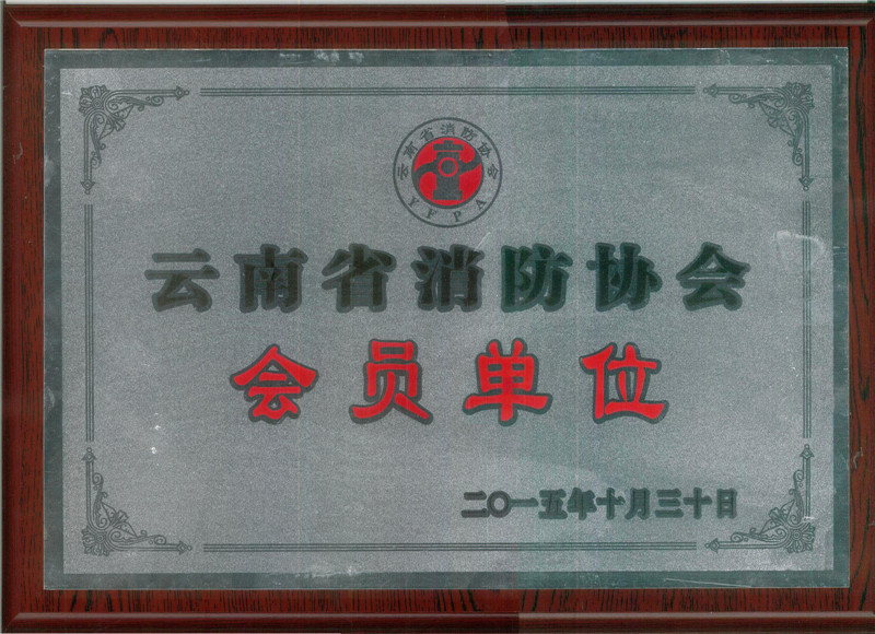 云南省消防協會.jpg