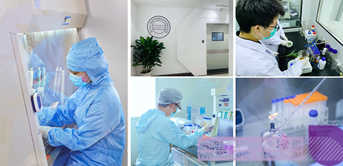 1583030480243184.png 屏幕快照 2020-03-01 上午9.19.22.png