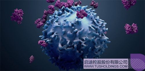 1620971008239445.png 2 拷貝.png