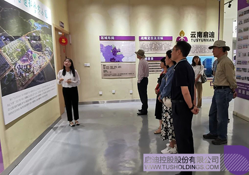 1694233008730852.jpg 7c.jpg