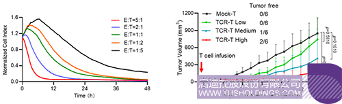 1710815303387596.jpg 3c.jpg